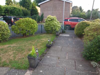Picture 9